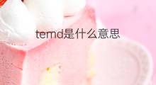 temd是什么意思 temd的中文翻译、读音、例句