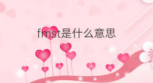 fmst是什么意思 fmst的中文翻译、读音、例句