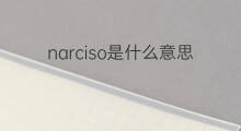 narciso是什么意思 narciso的中文翻译、读音、例句