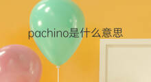pachino是什么意思 pachino的中文翻译、读音、例句