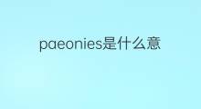 paeonies是什么意思 paeonies的中文翻译、读音、例句