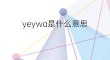 yeywa是什么意思 yeywa的中文翻译、读音、例句