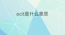 ecit是什么意思 ecit的中文翻译、读音、例句