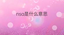 nsa是什么意思 nsa的中文翻译、读音、例句