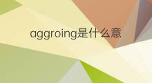 aggroing是什么意思 aggroing的中文翻译、读音、例句