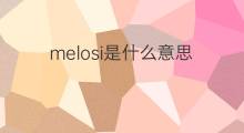 melosi是什么意思 melosi的中文翻译、读音、例句