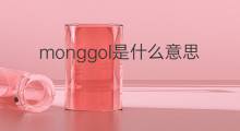 monggol是什么意思 monggol的中文翻译、读音、例句
