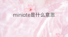 miniate是什么意思 miniate的中文翻译、读音、例句