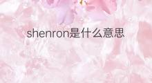 shenron是什么意思 shenron的中文翻译、读音、例句