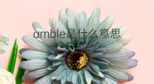 amble是什么意思 amble的中文翻译、读音、例句