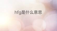hfg是什么意思 hfg的中文翻译、读音、例句