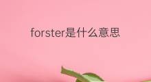 forster是什么意思 forster的中文翻译、读音、例句