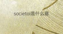 societal是什么意思 societal的中文翻译、读音、例句