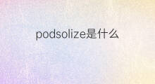 podsolize是什么意思 podsolize的中文翻译、读音、例句