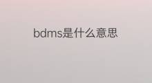 bdms是什么意思 bdms的中文翻译、读音、例句