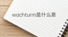 wachturm是什么意思 wachturm的中文翻译、读音、例句