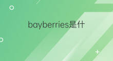 bayberries是什么意思 bayberries的中文翻译、读音、例句