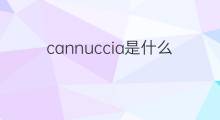 cannuccia是什么意思 cannuccia的中文翻译、读音、例句