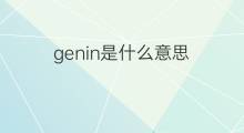 genin是什么意思 genin的中文翻译、读音、例句