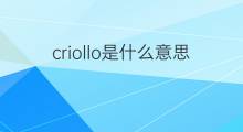 criollo是什么意思 criollo的中文翻译、读音、例句