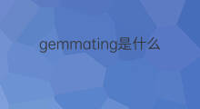 gemmating是什么意思 gemmating的中文翻译、读音、例句