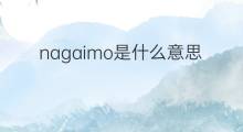 nagaimo是什么意思 nagaimo的中文翻译、读音、例句