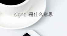 signall是什么意思 signall的中文翻译、读音、例句