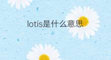 lotis是什么意思 lotis的中文翻译、读音、例句