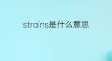 strains是什么意思 strains的中文翻译、读音、例句