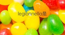 legionnella是什么意思 legionnella的中文翻译、读音、例句