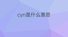 cyn是什么意思 cyn的中文翻译、读音、例句