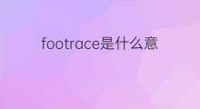 footrace是什么意思 footrace的中文翻译、读音、例句