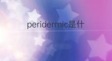 peridermic是什么意思 peridermic的中文翻译、读音、例句