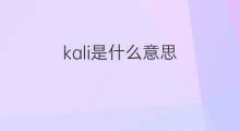 kali是什么意思 kali的中文翻译、读音、例句