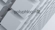 polyphlogin是什么意思 polyphlogin的中文翻译、读音、例句