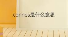 cannes是什么意思 cannes的中文翻译、读音、例句