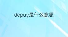 depuy是什么意思 英文名depuy的翻译、发音、来源