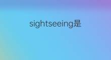 sightseeing是什么意思 sightseeing的中文翻译、读音、例句