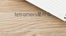tetramers是什么意思 tetramers的中文翻译、读音、例句