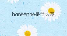 hansenne是什么意思 hansenne的中文翻译、读音、例句