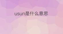 usun是什么意思 usun的中文翻译、读音、例句
