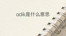 adik是什么意思 adik的中文翻译、读音、例句