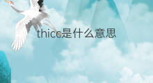 thicc是什么意思 thicc的中文翻译、读音、例句