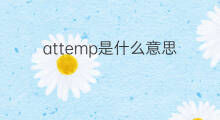 attemp是什么意思 attemp的中文翻译、读音、例句