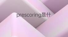prescoring是什么意思 prescoring的中文翻译、读音、例句