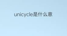 unicycle是什么意思 unicycle的中文翻译、读音、例句