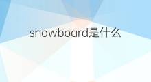 snowboard是什么意思 snowboard的中文翻译、读音、例句