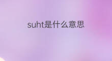 suht是什么意思 suht的中文翻译、读音、例句