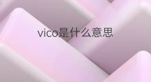 vico是什么意思 vico的中文翻译、读音、例句