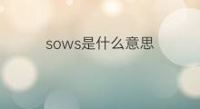 sows是什么意思 sows的中文翻译、读音、例句